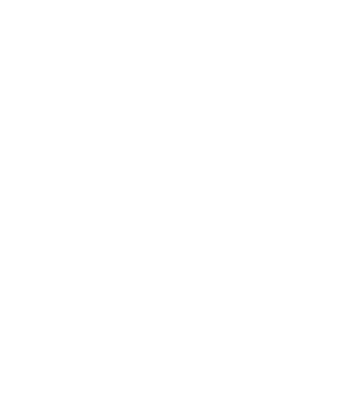 Logo verde e bianco di ottima consulenza, società che si occupa di servizi di consulenza per aziende imprese e studi con sede a ravenna, cesena, pesaro e trento